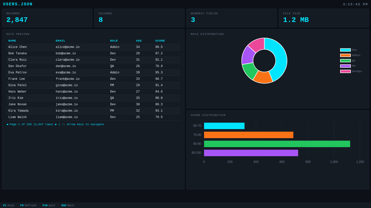 JSON file visualized as table with role distribution doughnut and score histogram